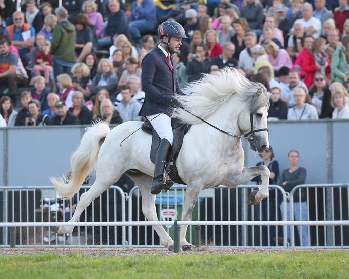 Far til Bjar - Bjartmar fra Nedre-Sveen World Champion 7 years and older stallions, and the highest judged horse at the WC 2017. He raised his total score to 8.72 with 9.0 for ridden abilities - 9,5 for pace and willingness and 10 for walk 🏆 
A very special and magnificent horse with a fantastic temperament. This was truly amazing and a pleasure to be part of. Congratulations to the owners and breeders.